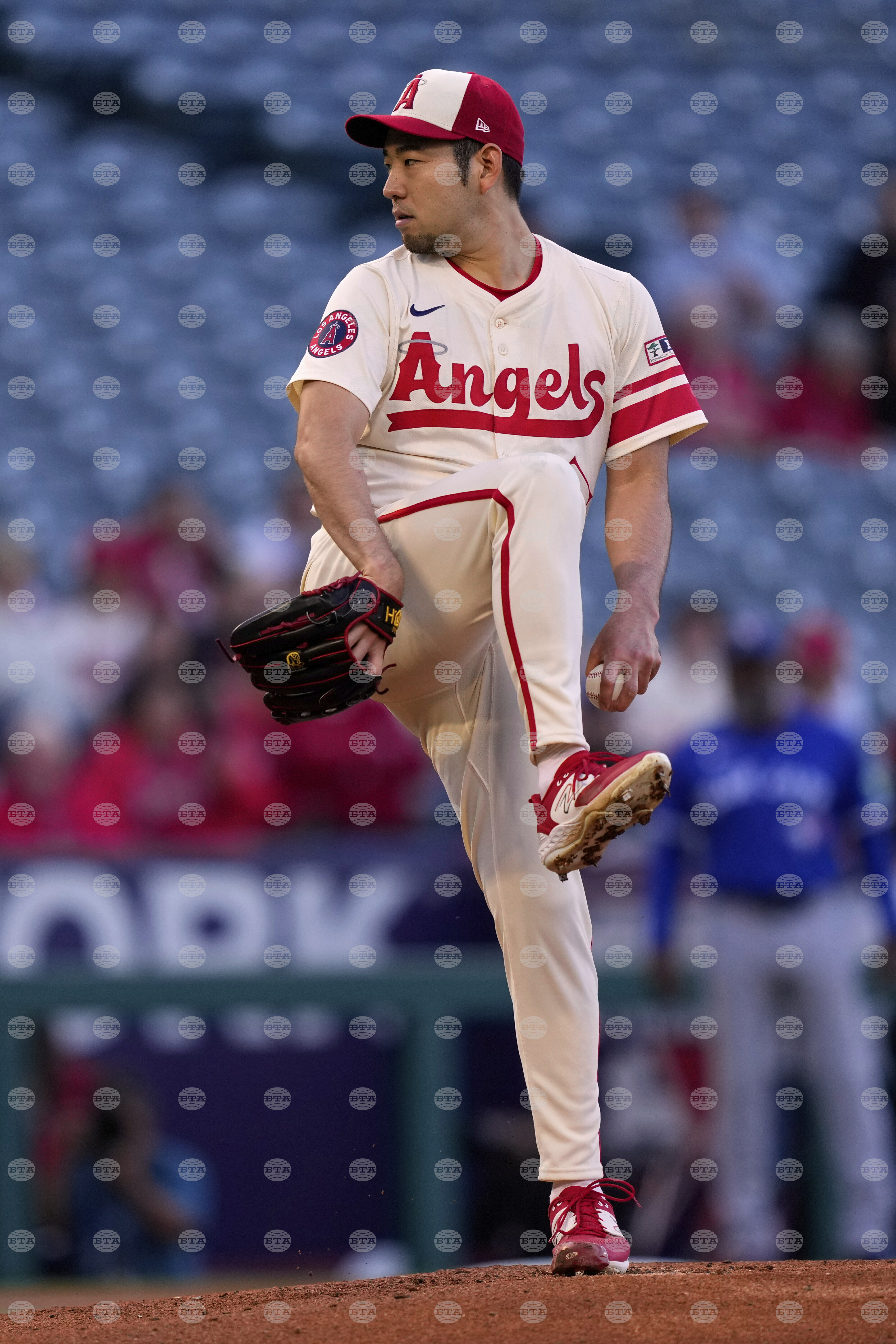 Blue Jays Angels Baseball