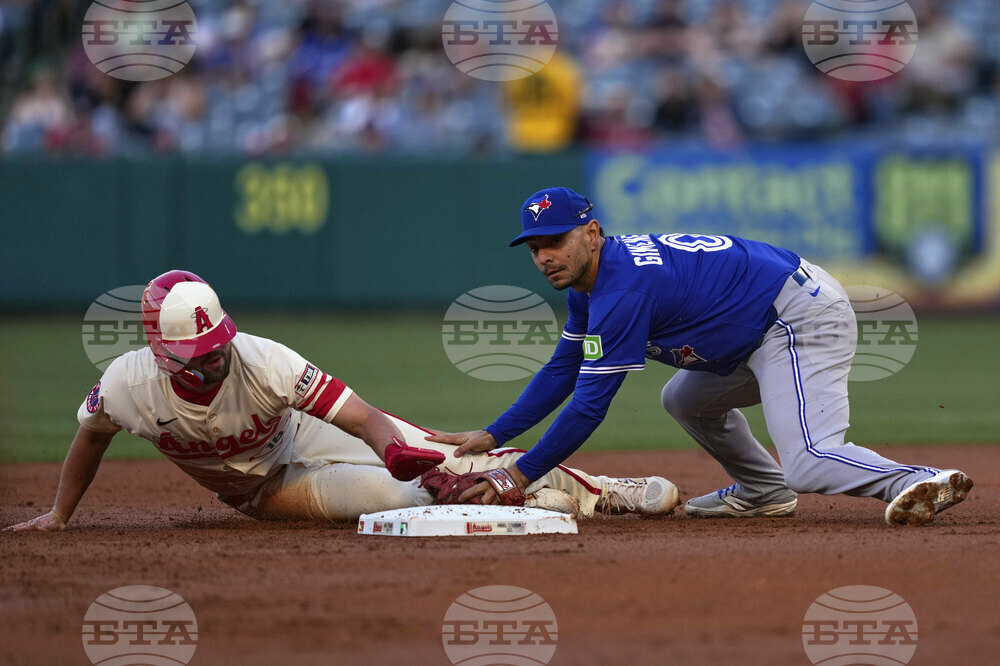 Blue Jays Angels Baseball