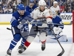 Panthers Maple Leafs