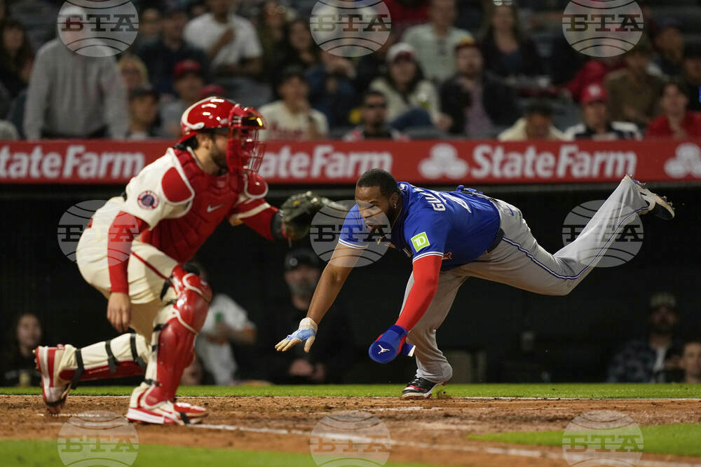 Blue Jays Angels Baseball
