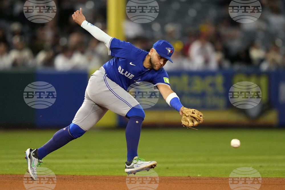 Blue Jays Angels Baseball