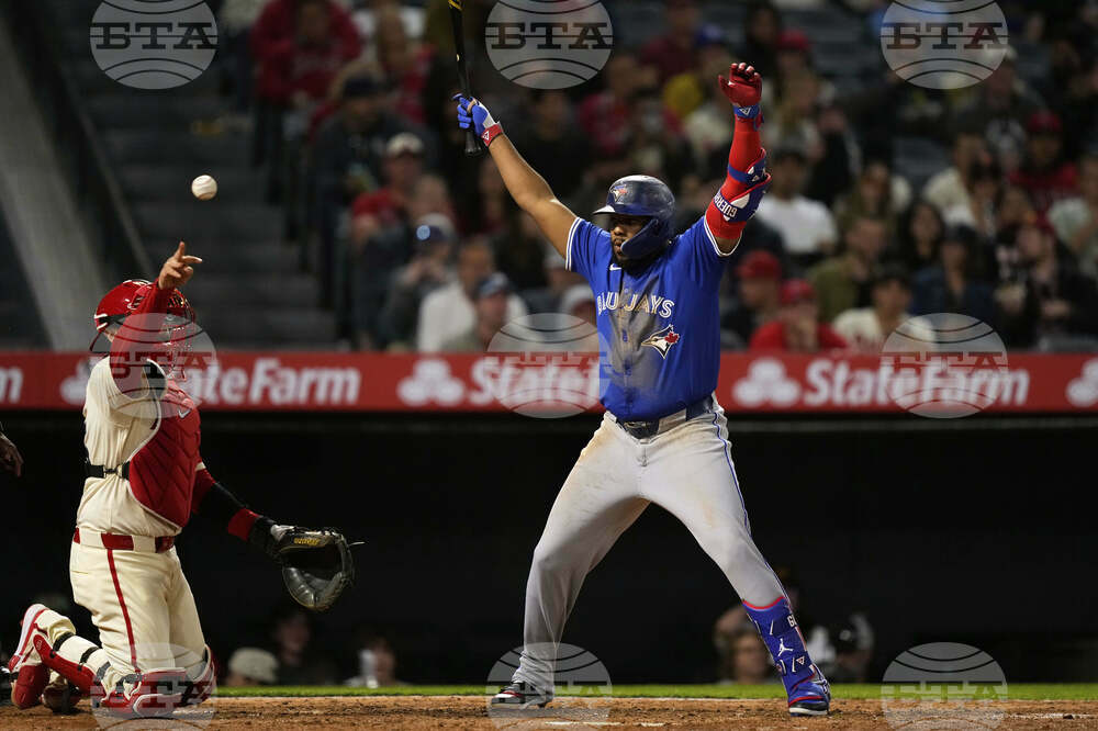 Blue Jays Angels Baseball