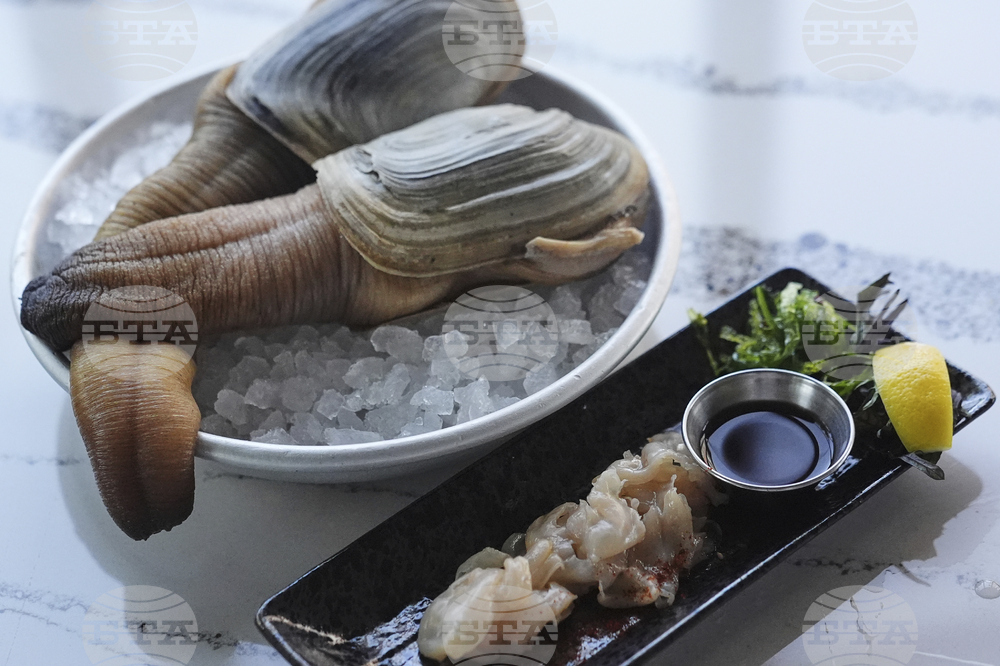 Tariffs China Geoducks