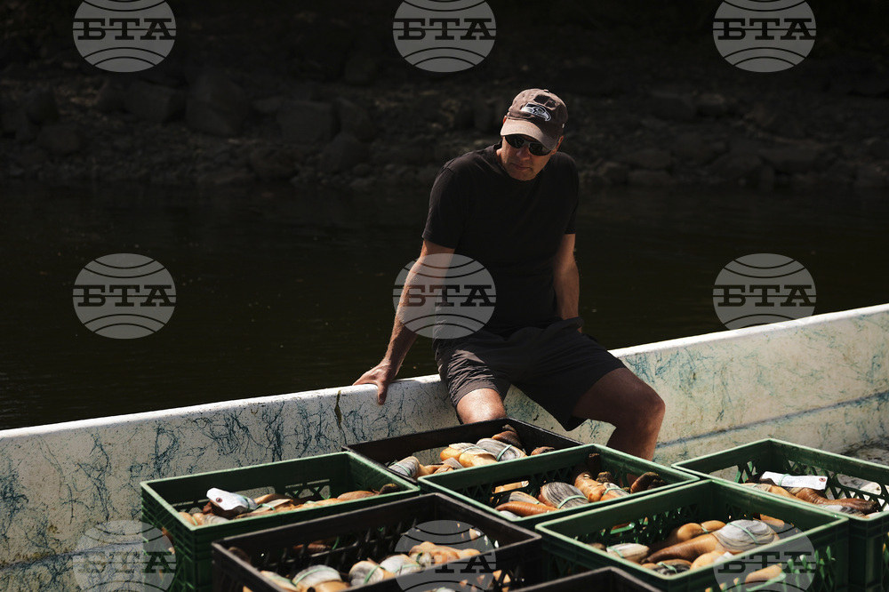 Tariffs China Geoducks