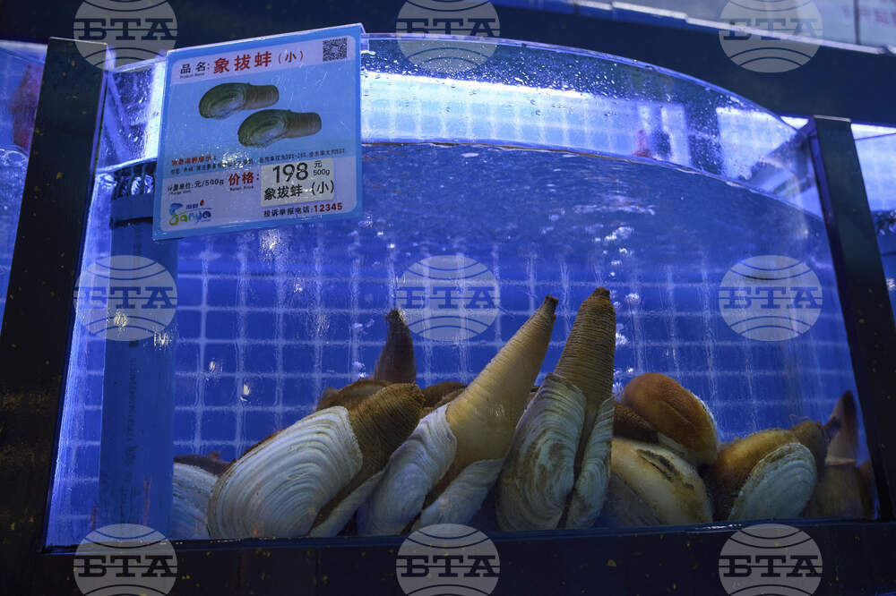 Tariffs China Geoducks