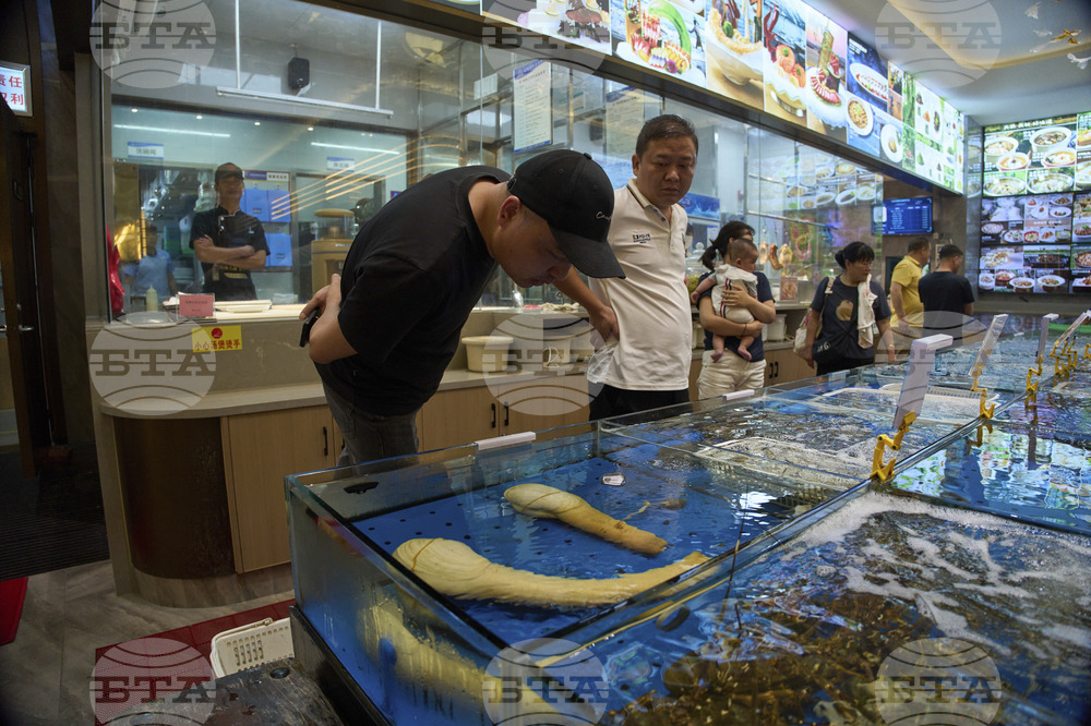 Tariffs China Geoducks