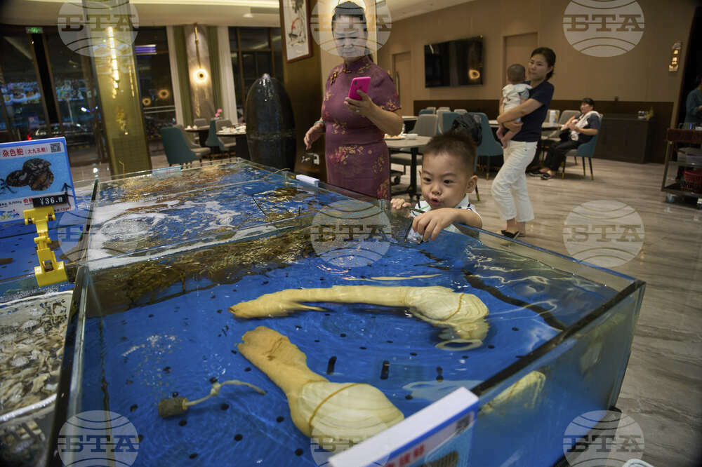Tariffs China Geoducks