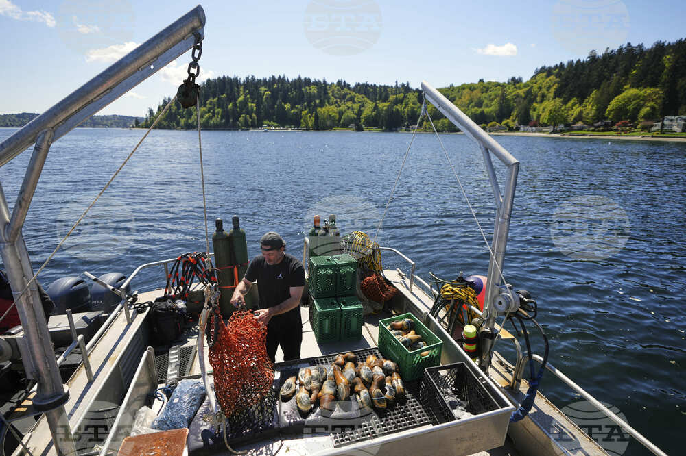 Tariffs China Geoducks