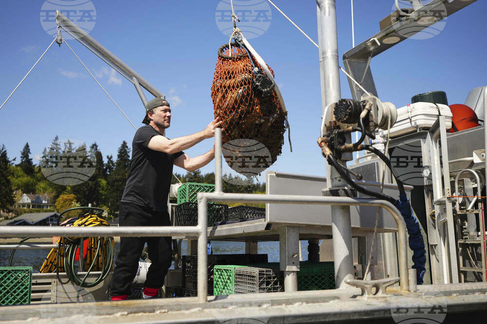 Tariffs China Geoducks