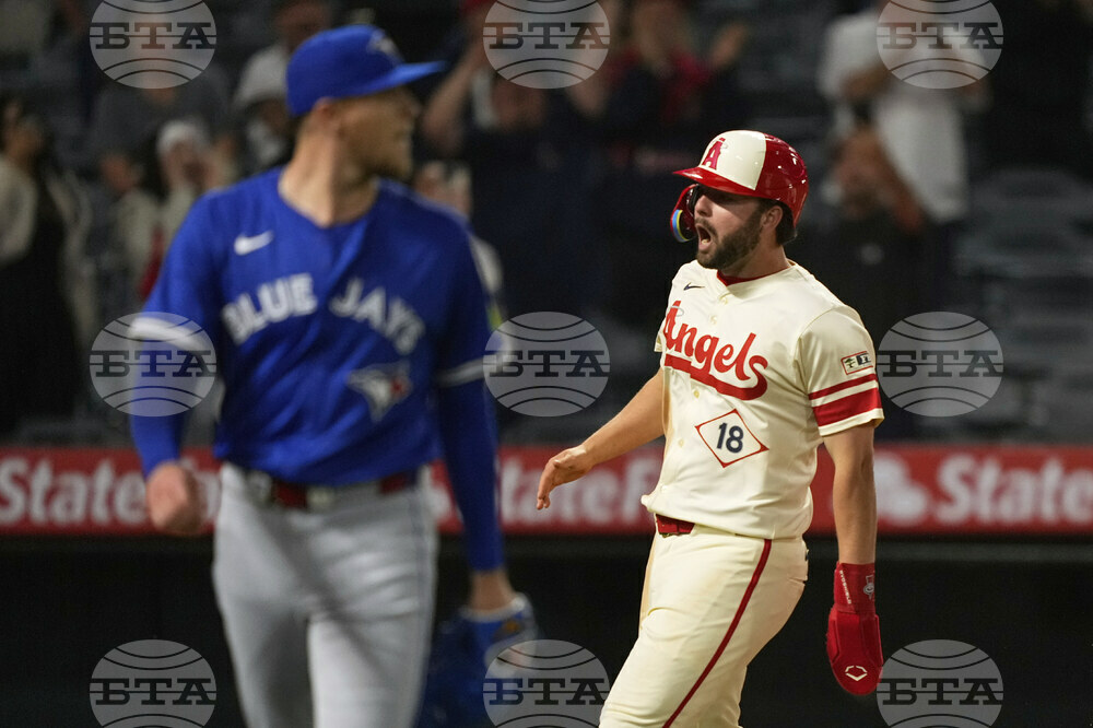 Blue Jays Angels Baseball
