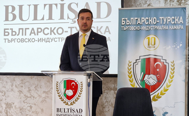 Turkiye Is Important, Reliable Economic Partner of Bulgaria, Says Economy Deputy Minister