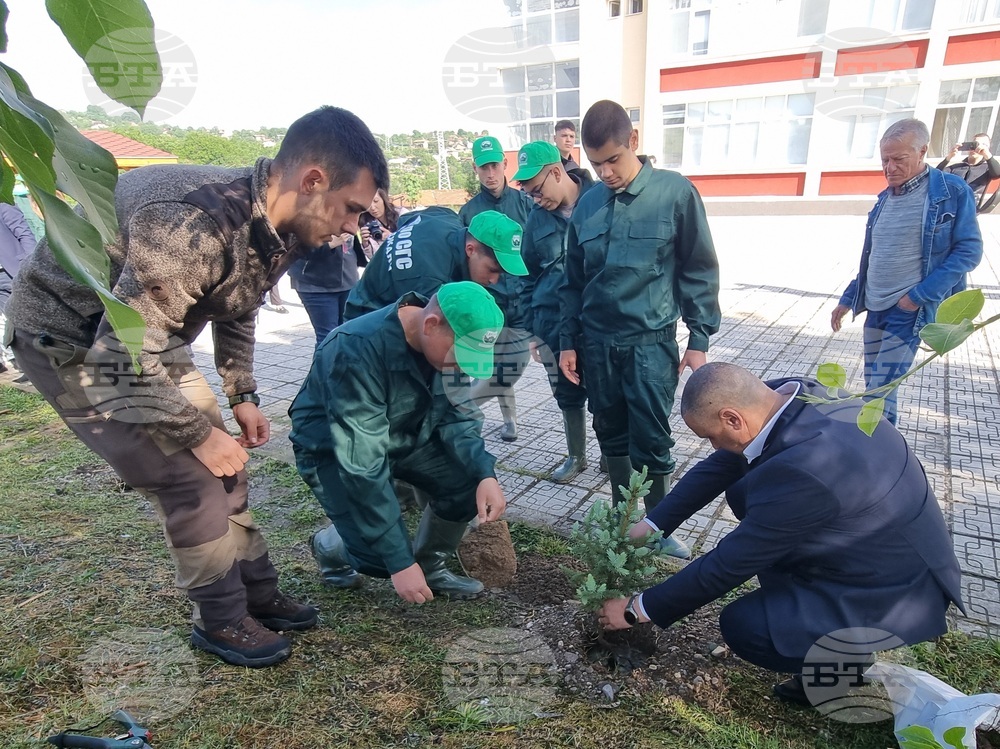Ученици от гимназията по селско и горско стопанство в Кърджали засадиха дръвчета в двора на училището за Деня на Европа