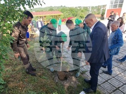 Кърджали - ученици - залесяване