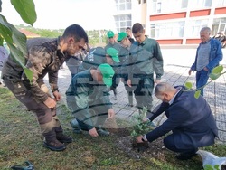 Кърджали - ученици - залесяване