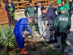 Кърджали - ученици - залесяване