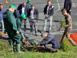 Кърджали - ученици - залесяване