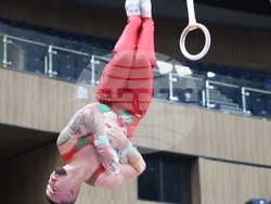 Варна - Световна купа по спортна гимнастика - Божидар Златанов