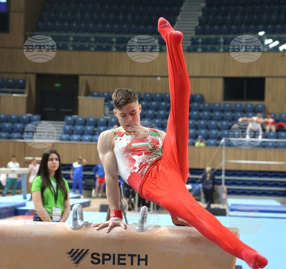 Давид Иванов не успя да се класира за финала на кон с гривни на Световната купа по спорна гимнастика в Котбус