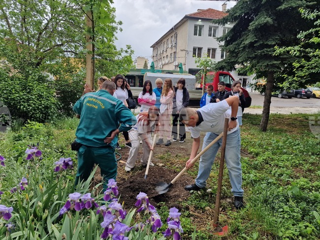 Със засаждане на дръвчета започна кампанията „Дни на Европа“ в Разград