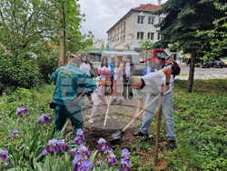 Разград - засаждане на дръвчета
