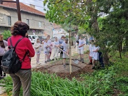 Разград - засаждане на дръвчета