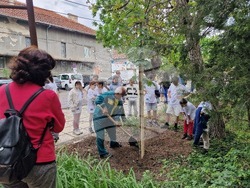 Разград - засаждане на дръвчета