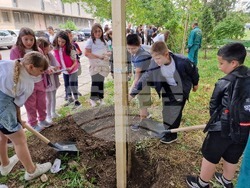 Разград - засаждане на дръвчета