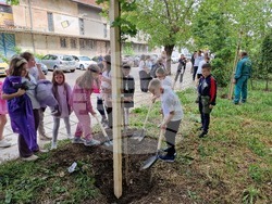 Разград - засаждане на дръвчета