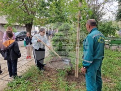 Разград - засаждане на дръвчета