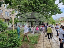 Разград - засаждане на дръвчета