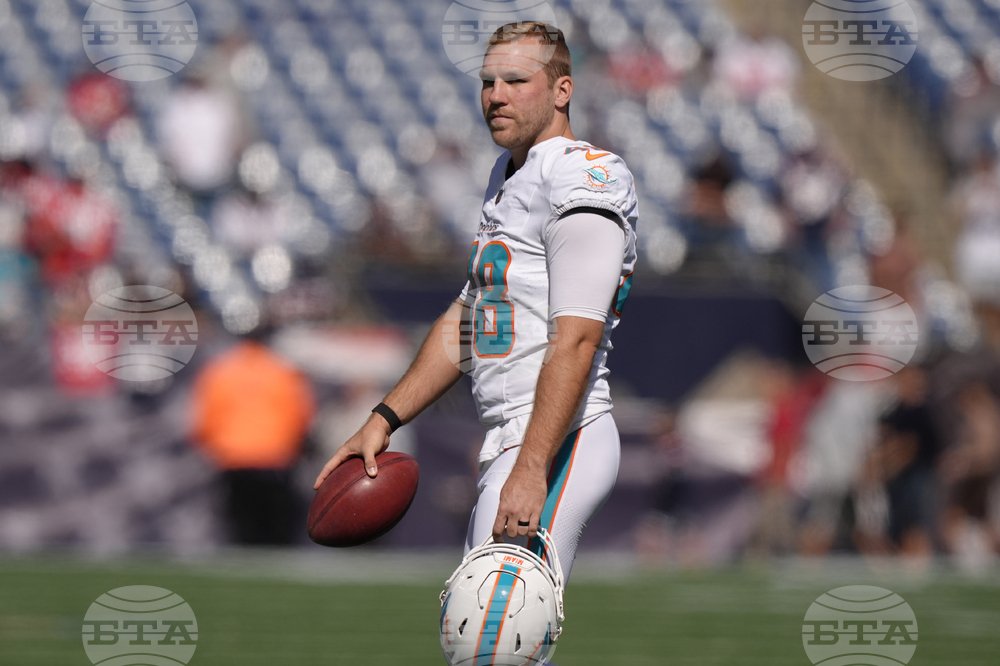 Dolphins Moves