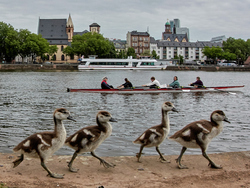 Pictures of the Week Global Photo Gallery