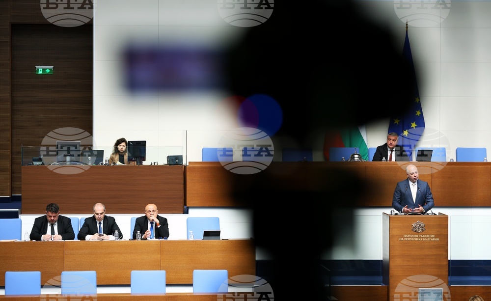 Парламент - парламентарен блиц контрол