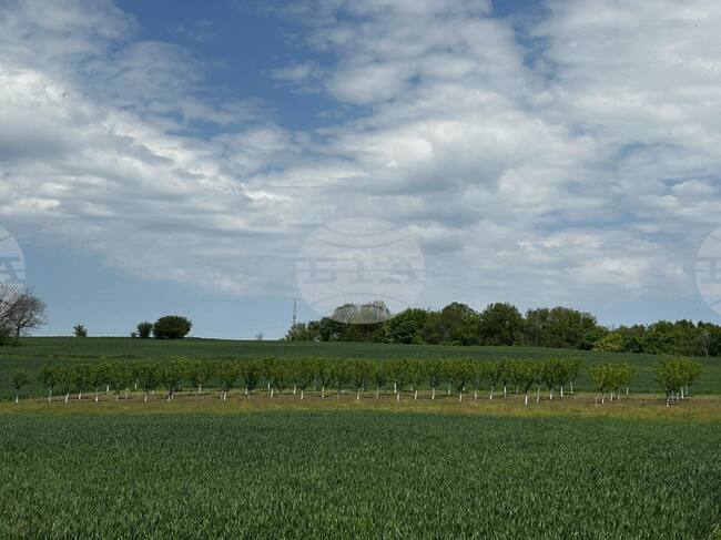 Отбелязваме Международния ден на биологичното разнообразие; търсят най-добрите постижения в опазването на природата и климата 