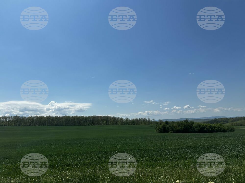 Прогноза за времето