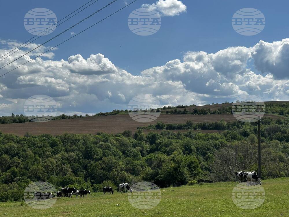 Прогноза за времето 