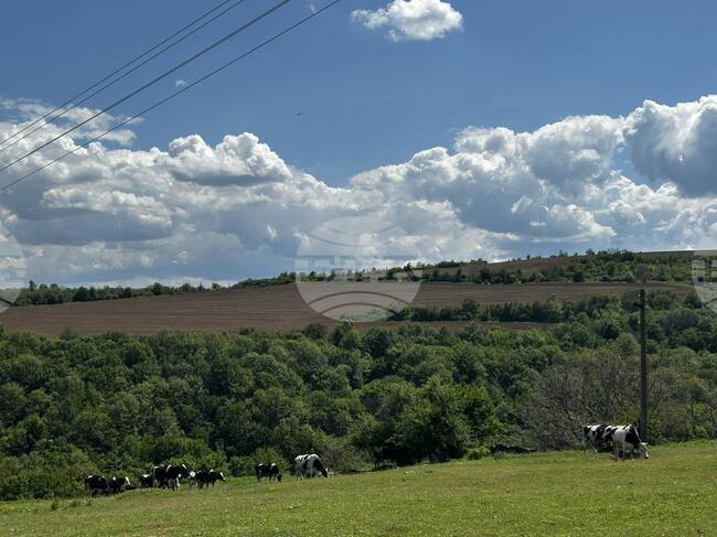 Прогноза за времето 