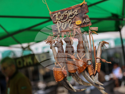 Благоевград - Занаят фест