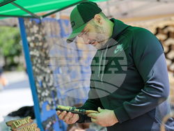 Благоевград - Занаят фест