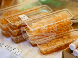 Благоевград - Занаят фест