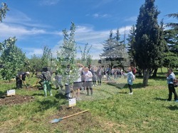 Хасково - Ден на Европа - залесяване