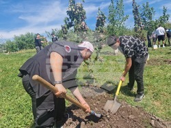 Хасково - Ден на Европа - залесяване