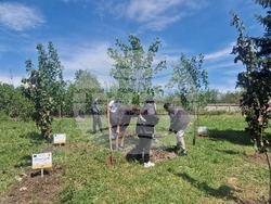 Хасково - Ден на Европа - залесяване