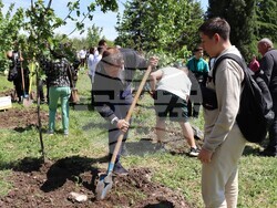Хасково - Ден на Европа - залесяване