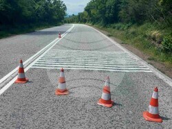 Снимка: АПИ