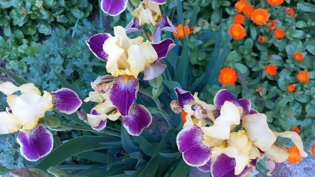 Близо 650 съименици на светите равноапостоли ще празнуват в Старозагорско в неделя