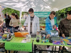 Свищов - Панорама на образованието