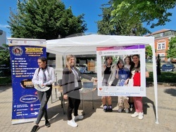 Свищов - Панорама на образованието