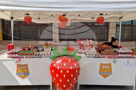 Кричим - фестивал - ягода