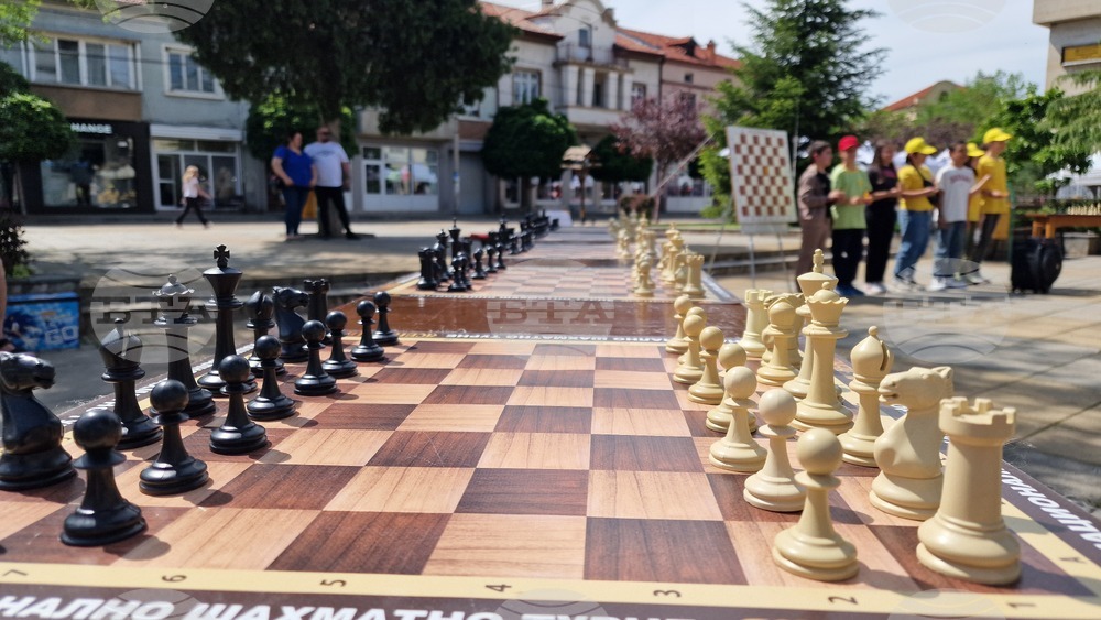 Кричим - фестивал - ягода